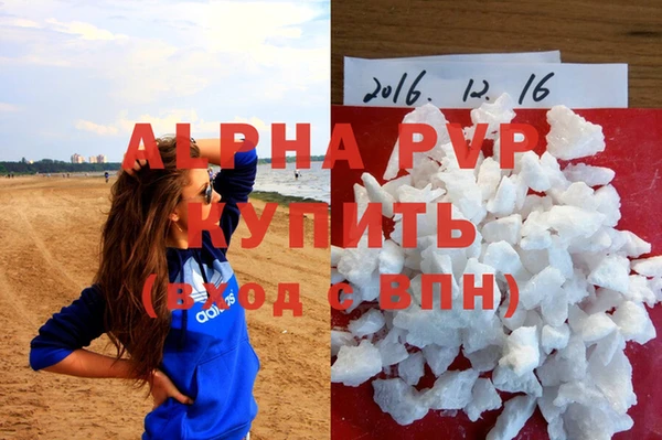 стафф Алексин