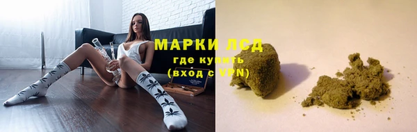 стафф Алексин