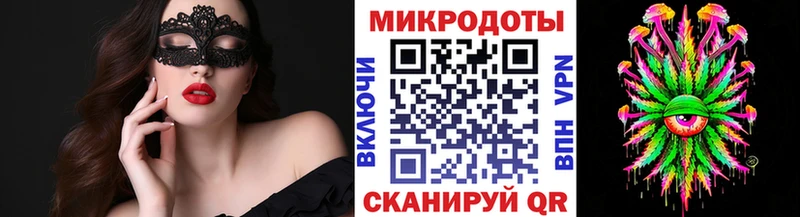 Галлюциногенные грибы Psilocybine cubensis  Обоянь 
